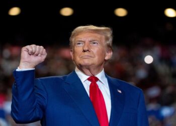 Unieke Netflix-miniserie over Donald Trump: