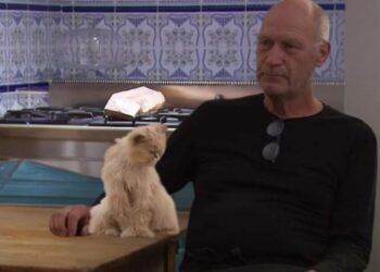 Heftige zorgen om kat Muis: Rob deelt hartverscheurende uitleg tijdens opnames B&B Vol Liefde